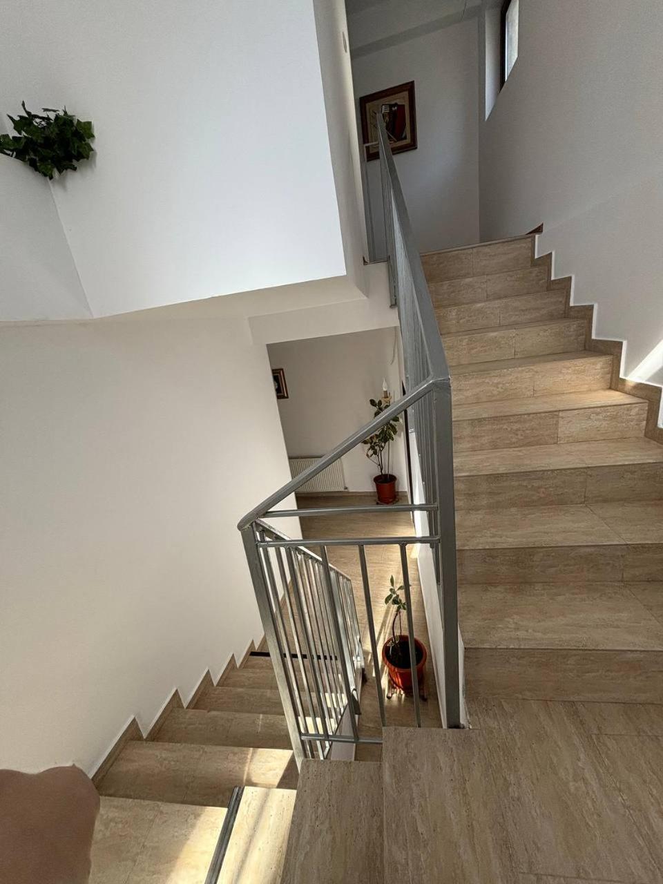 Alexander Residence Braila Exterior photo